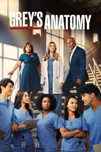 Grey’s Anatomy 19ª Temporada Torrent